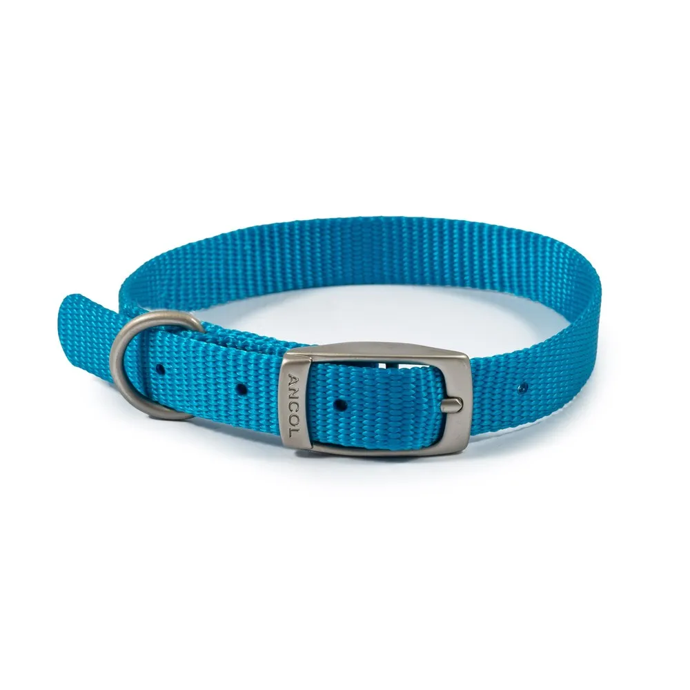Ancol Viva Nylon Collar Blue 26-31cm Size 2